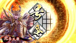 北条氏康 (獅子の王道)