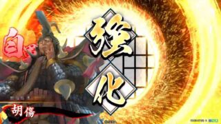 胡傷 (覇進戦法)