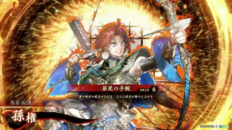 武将「孫権 (そんけん)」 (若虎の手腕 (わかとらのしゅわん))